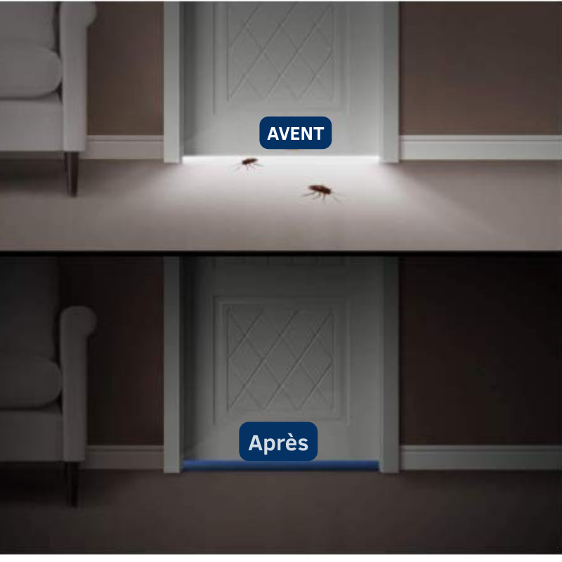 Calle Porte Anti-Froid Anti-Bruit Anti-Insectes
